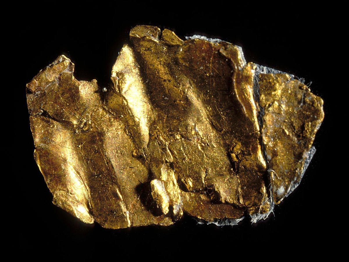 Marshallův nugget, kousek zlata o velikosti 7,1 mm, který odstartoval kalifornskou zlatou horečku.